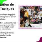 image_2026-02-25_223551840